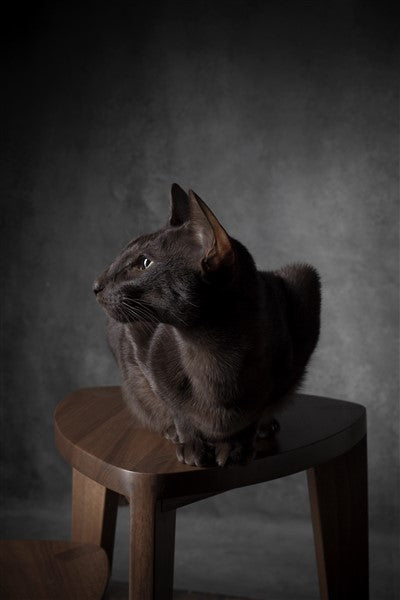 Tavolini laterali alti ad incastro Takai – Set di tavolini triangolari in noce evaporato fatti a mano, alti 18 e 24 pollici