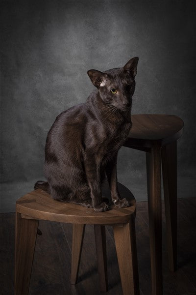 Tavolini laterali alti ad incastro Takai – Set di tavolini triangolari in noce evaporato fatti a mano, alti 18 e 24 pollici