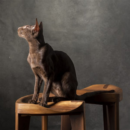 Hikari - Sgabello a tre gambe in noce con seduta intagliata